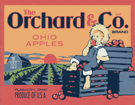 The Orchard & Company